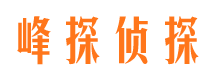 华龙侦探公司